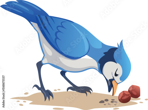 A blue jay burying an acorn, pushing it precisely into the ground.