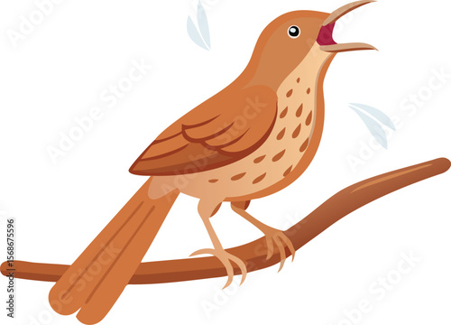 A brown thrasher singing vigorously, its beak wide open and loud.