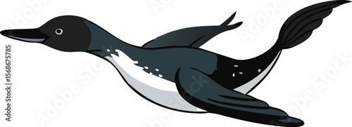 A common loon diving deeply, its powerful feet propelling it quickly.