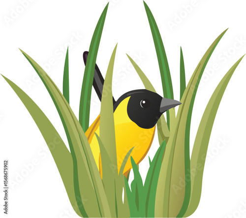 A common yellowthroat peeking from dense reeds, its mask visible.