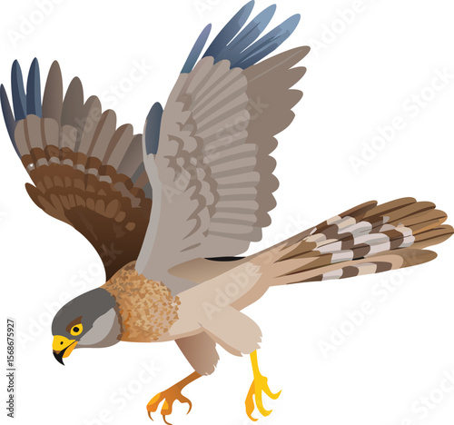 A Cooper's hawk in a tight turn, pursuing prey through dense trees.