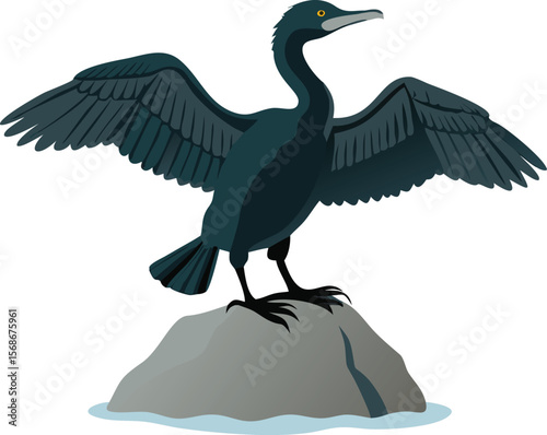 A double-crested cormorant drying its wings, outstretched wide on a log.