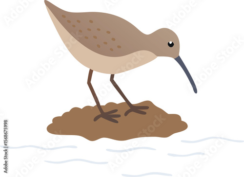 A dunlin bird probing its long, curved bill deep into soft mud.