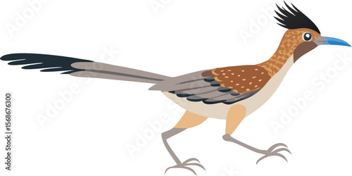 A greater roadrunner running fast with blurred legs, a blur of speed.