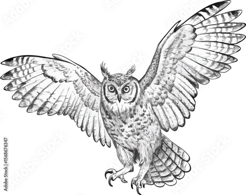 A great horned owl stretching one wing, revealing its beautiful feathers.