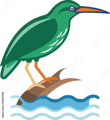 A green heron with its neck retracted, perfectly poised to strike prey.