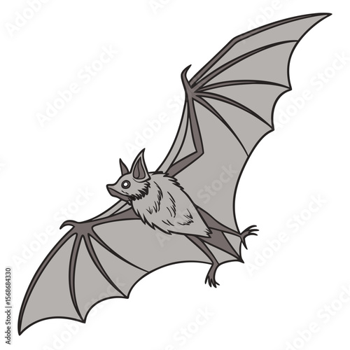 Gray bat flying wings spread animal