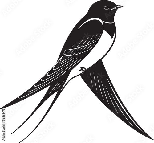 Black swallow bird perched black and white illustration