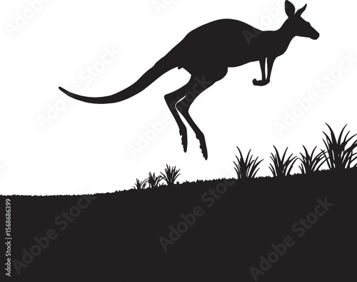 Kangaroo leaping across grassy terrain marsupial jumping