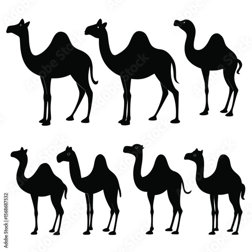 Collection of Silhouette Camels  Desert Animals, Wildlife Illustrations