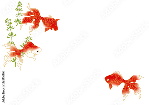 金魚と水草の和柄背景素材