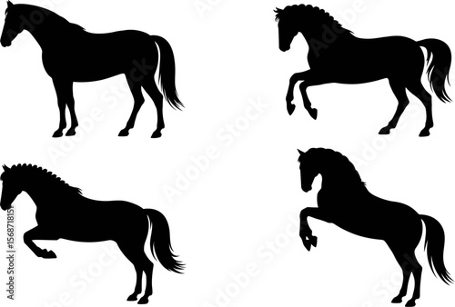 Horse silhouette vector art set equestrian design elements animal graphics horse breed illustrations vector pack
