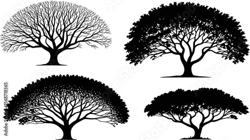 Black tree silhouette vector set for design and illustration with different tree shapes isolated