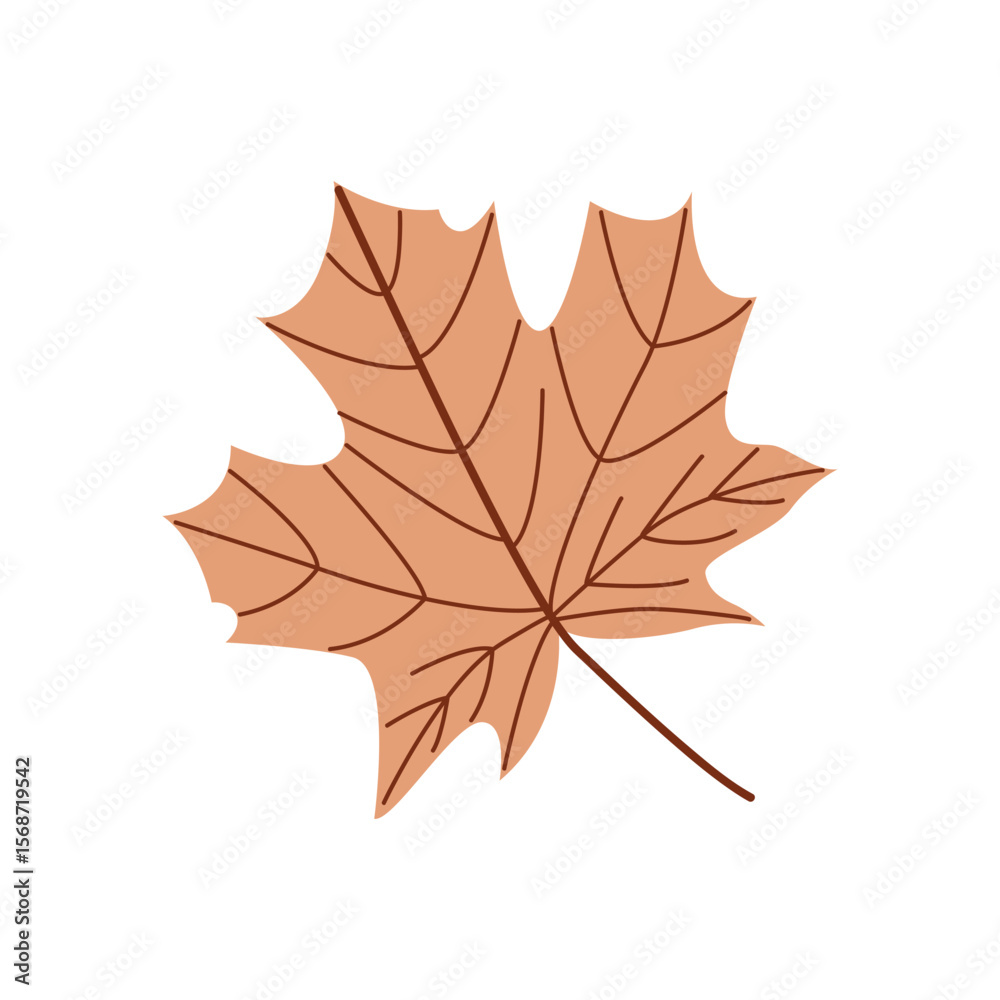 Fototapeta premium Adobe Illustrator Artwork