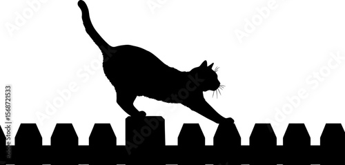 Black cat silhouette on fence with moon background halloween night spooky animal pet feline domestic