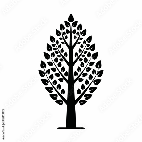 Poplar tree vector silhouette illustration isolated on white background