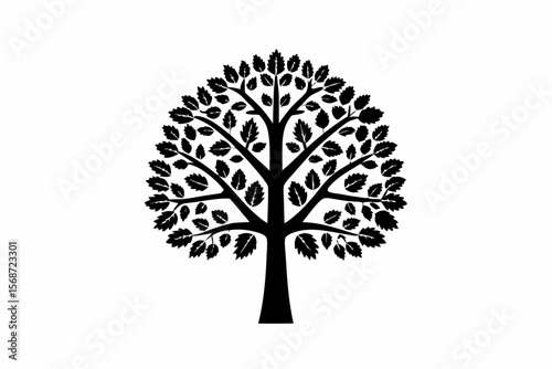 Poplar tree vector silhouette illustration isolated on white background