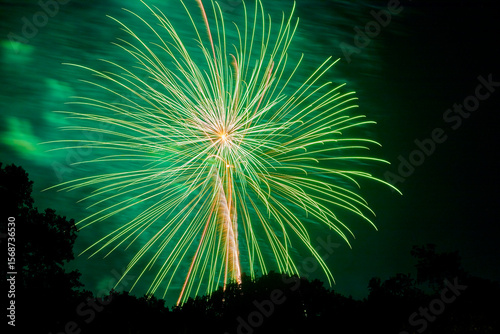 Giant green fireworks exploding in the black sky celebrating a holiday