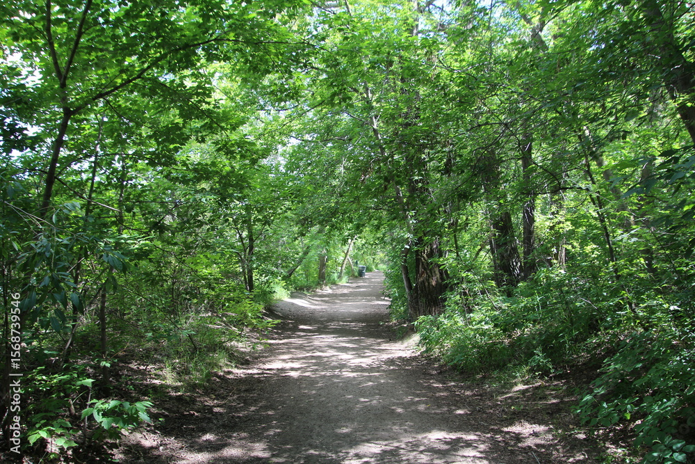 Fototapeta premium path in the park, Gold Bar Park, Edmonton, Alberta