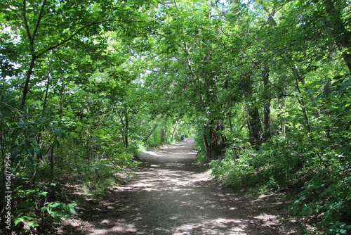 path in the park, Gold Bar Park, Edmonton, Alberta