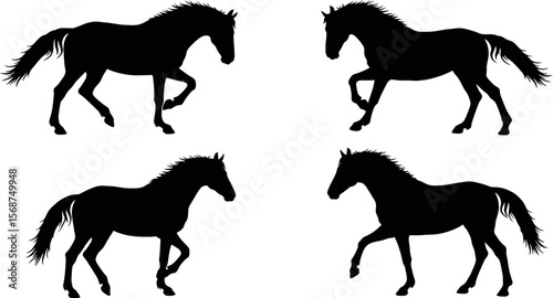 Horse silhouette vector art graphic design equestrian animal black horses running horses illustration