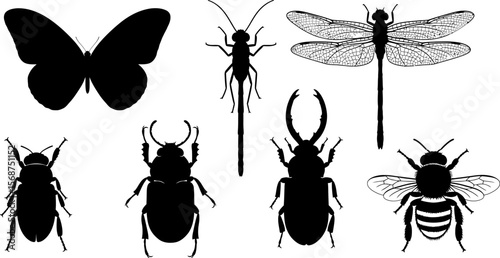 Vector insect silhouettes collection of butterfly dragonfly bee and beetles entomology concept art