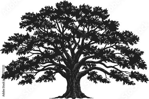 Illustration of majestic oak tree silhouette for nature lovers and graphic design enthusiasts alike