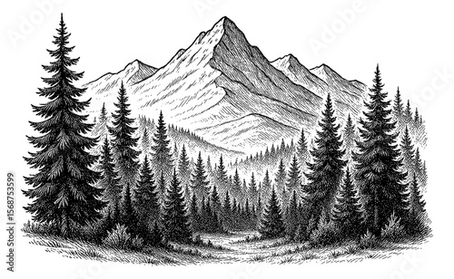 Engraved Mountain Landscape with Pine Trees and Forest Black and White Illustration