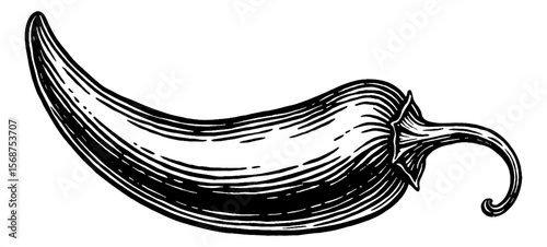 Engraved illustration of a chili pepper in black and white.