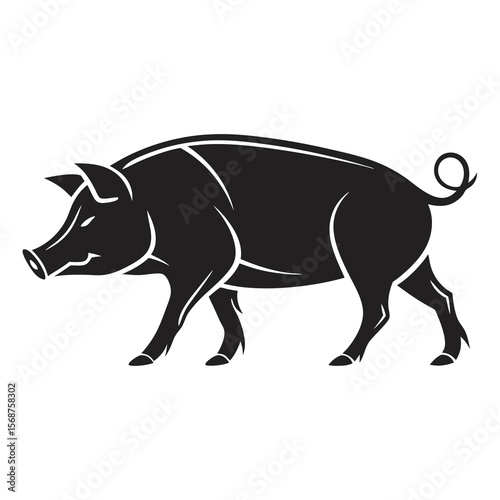 vector illustration of a boar