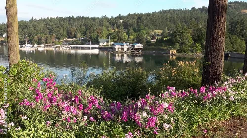 Orcas island Washington USA