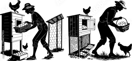 Silhouetted Farmers Collecting Fresh Eggs from Chicken Coops