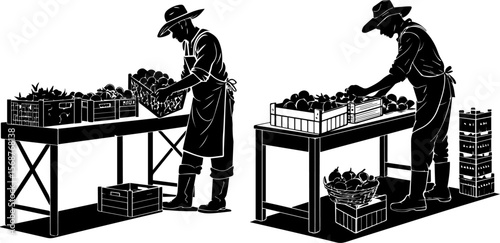 Silhouetted Farmers Sorting and Packing Fresh Produce at Market Stall