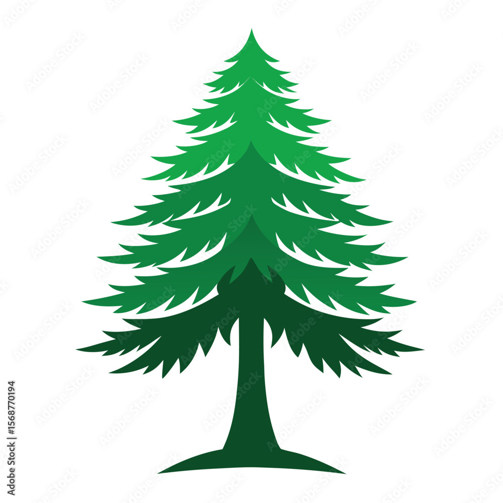 Fototapeta premium Green Hemlock tree isolated on a white background, perfect for your winter holiday and New Year celebration designs