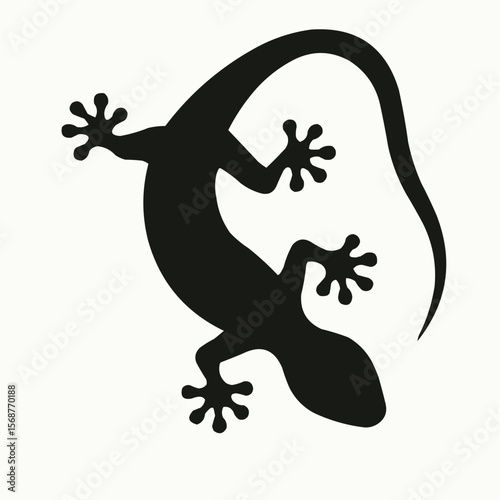 lizard on a white background