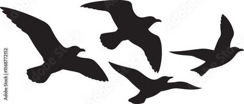 Four silhouettes of seagulls flying in formation against a white background