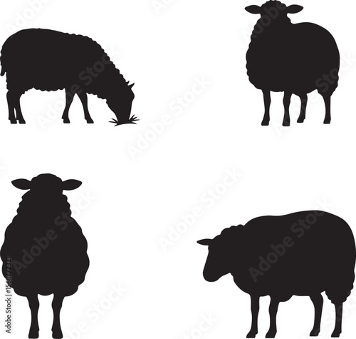 Four black sheep silhouettes in different poses on a white background