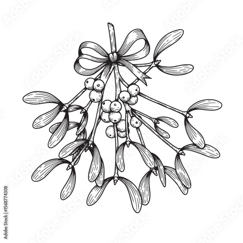 Elegant vintage art illustration of mistletoe sprig with berries and ribbon for christmas decorations