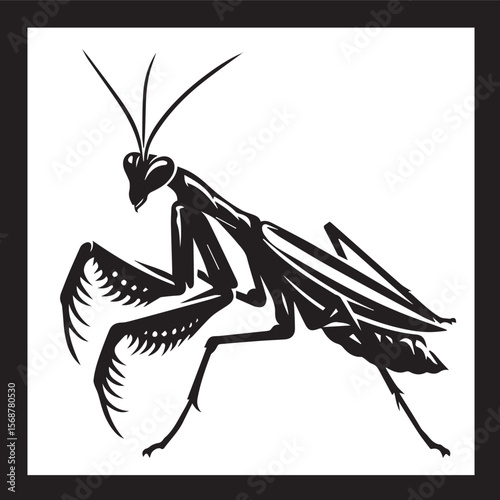 praying mantis vector illustration, praying mantis silhouette vector on a white