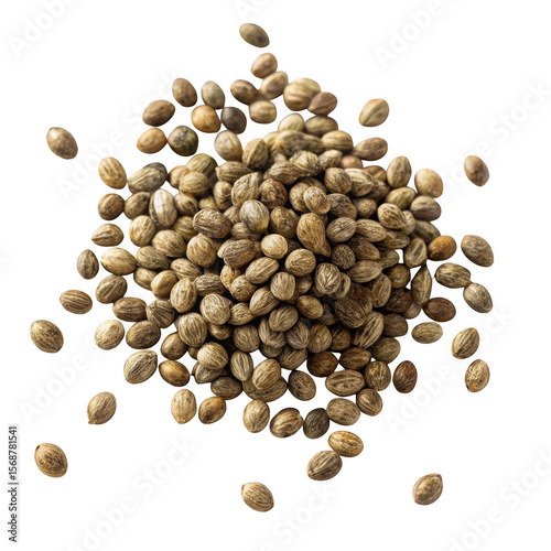A pile of small brown and tan hemp seeds scattered and isolated on transparent background