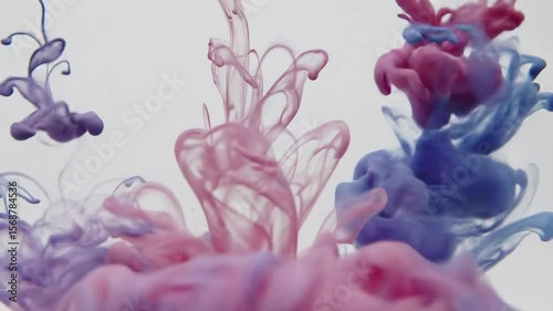 Colorful Ink Swirling in Water on White Background – Abstract Looping Motion