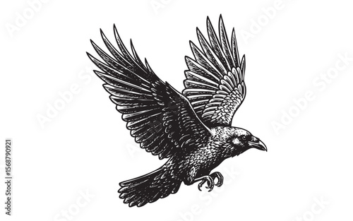 Flying Raven Crow Vector Engraving Illustration