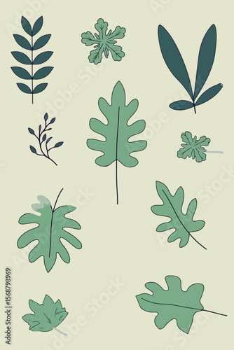 Assorted Green Leaf Illustrations
