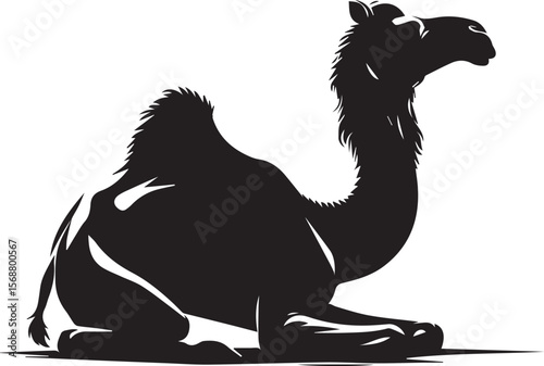 black logo camel is sitting vector, logo camel is sitting vector illustration