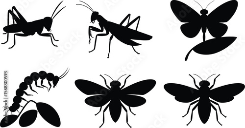 Vector illustration of mantis, butterfly, grub and insect collection in solid black silhouette on white background