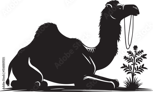 black logo camel is sitting vector, logo camel is sitting vector illustration