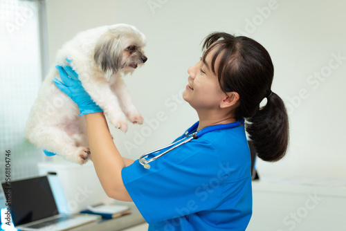Fotografie A middle-aged Asian female veterinarian is administering a vaccine or injection to a dog on a clinic table