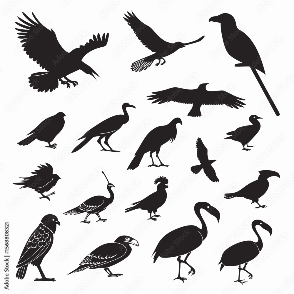 Obraz premium Collection of diverse bird silhouettes in various poses including flying standing and perched