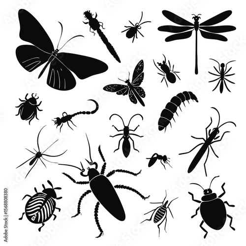 Collection of black silhouette insects and arthropods including butterfly dragonfly scorpion ants beetle centipede and spider on white background