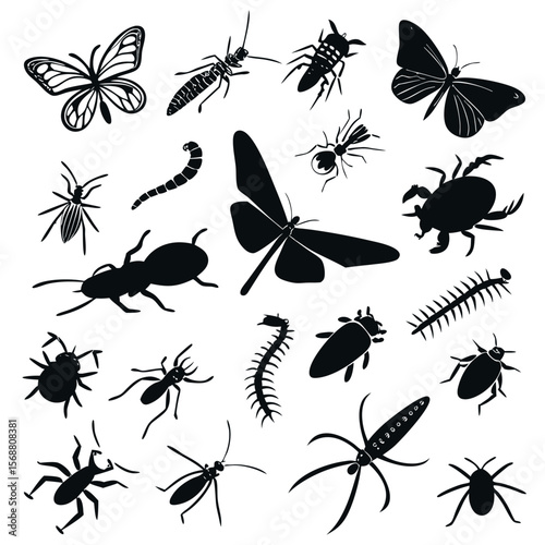 Collection of diverse black insect silhouettes including butterflies dragonflies ants beetles centipedes and other arthropods on a white background